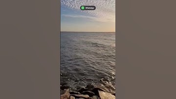 قرآن القارئ محمد اللحيدان/ جمال الطبيعة في املج في المملكة العربية السعودية