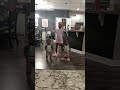 #shorts #shortvideo #viral #viralvideo