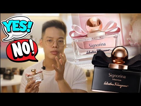 Video Review Signorina: Năm 2020 Còn Nên Mua Không? -... - youtube
