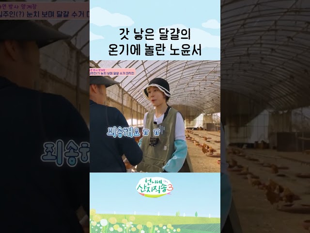 달걀 온기에 찐으로 놀란 노윤서 ㅋㅋ #언니네산지직송3