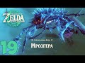 The Legend of Zelda: Tears of the Kingdom Прохождение Часть 19 (Мрозгера. Деревня Рито спасена)