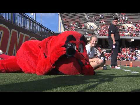 2014-capital-one-mascot-challenge-submission---wku's-big-red