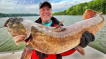 Flathead Catfish Bait: Five Tips For Success