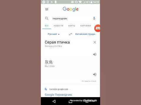 Серая птичка на китайском языке 😂😂😂 - YouTube
