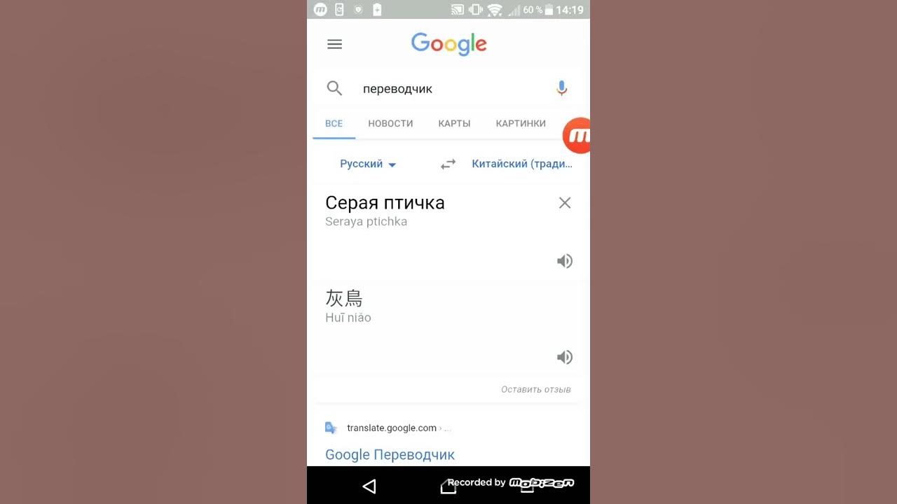 Как переводится серая птица на китайском