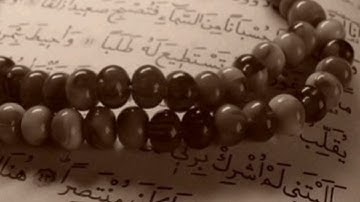 سورة الفتح _ محمود عبدالحكم
