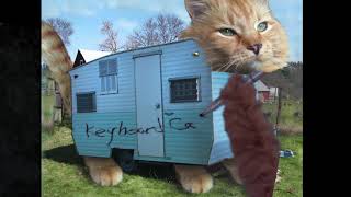 Keyboard Cat Tagging His Own Trailer!!!