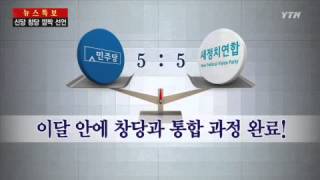 '제3지대 신당' 통합 방식이란? / YTN