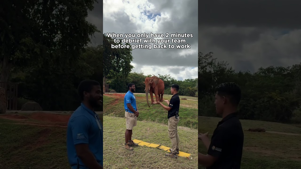 Listen Closely, Peggy!