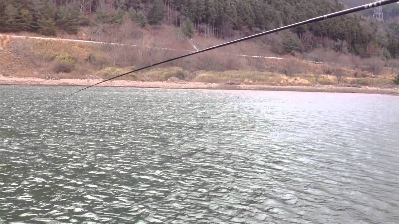 滋賀県 青土 おおづち ダム ワカサギ釣り情報