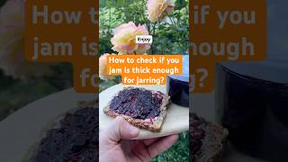 Did you know this simple trick to know if your Jam is thick enough for jarring? #jam #preservation