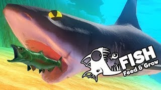 Feed and Grow Fish Gameplay German - Extrem gefährlicher Hai