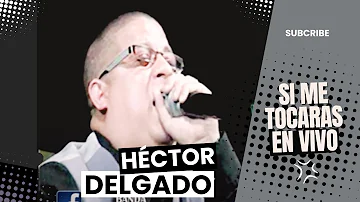 Si me tocaras Hector el Father (Hector Delgado) En Vivo