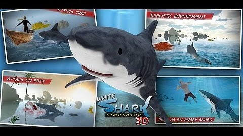 White Shark Simulator 3D (By Bleeding Edge Studio)