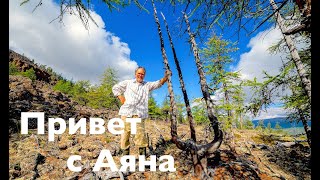 Привет с Аяна.  Трезуб в сердце России. Плато Путорана.