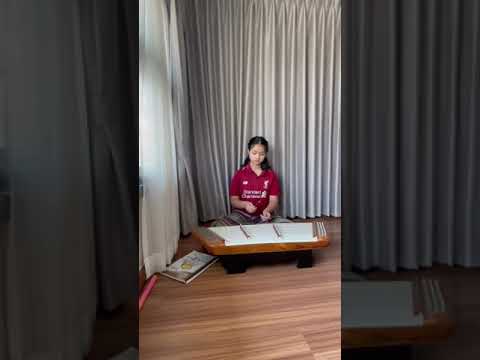 ขิมไทยเพลงอาหนู เถา by ink