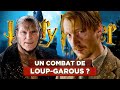 7 thories harry potter qui taient fausses 