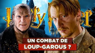 7 THÉORIES HARRY POTTER qui étaient FAUSSES !