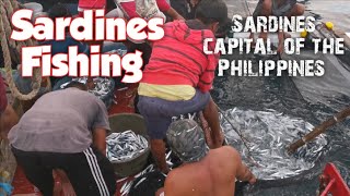 Fishing Sardines in Sardines Capital of the Philippines | Episode 05