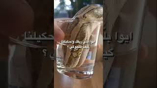 خاص وحصري بنات