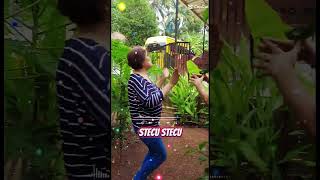 Stecu Stecu   Ochi Alvira  Stelan Cuek Baru  Musik Vidio