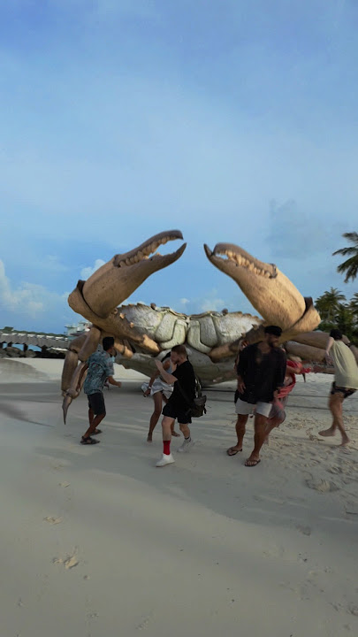 MEGA CRAB Attack