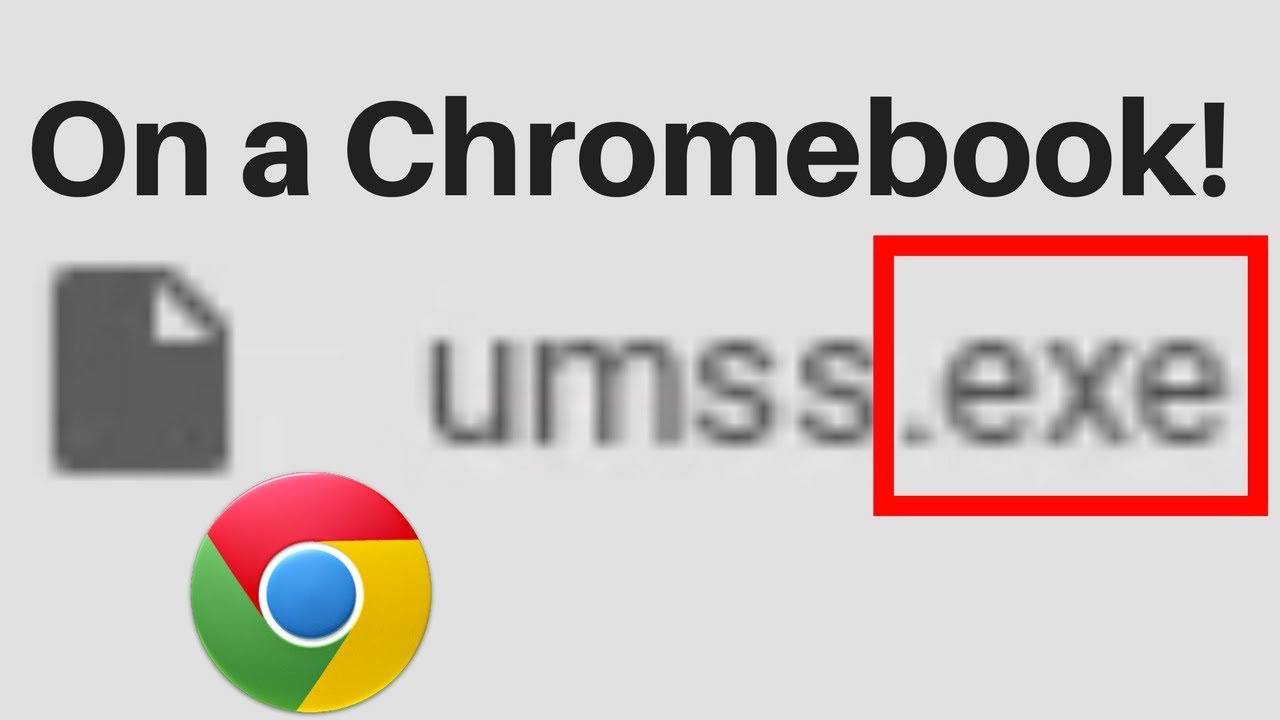 exe file opener on chromebook