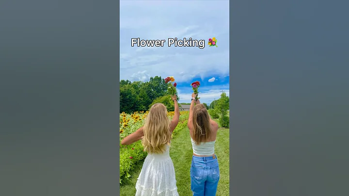 Valentines Day Date Ideas pt.3