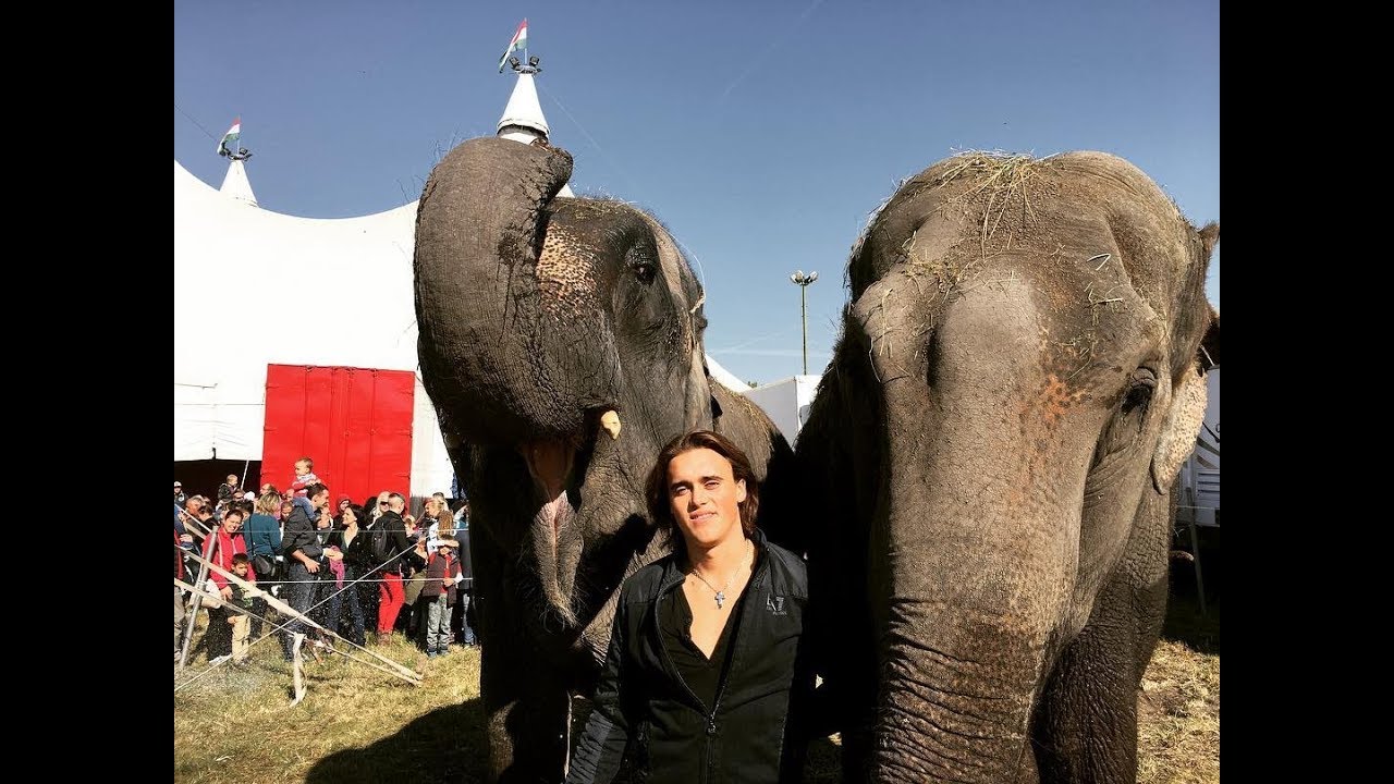 CIRCO FLORILEGIO HUMBERTO OCTUBRE 2019 -maravilloso-(AMEDEO FOLCO).