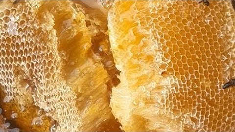 MẬT ONG KHOÁI RỪNG LAI CHÂU ĐÂY Ạ/0394313273