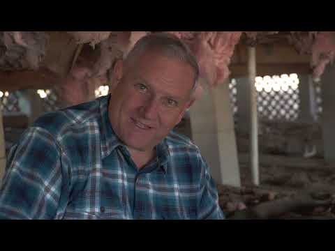 Should You Insulate Your Crawl Space? - Jim Dutton