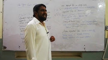 2nd Year-Computer-Ch.01-File Types From Usage Point Of View And How To Organise Files