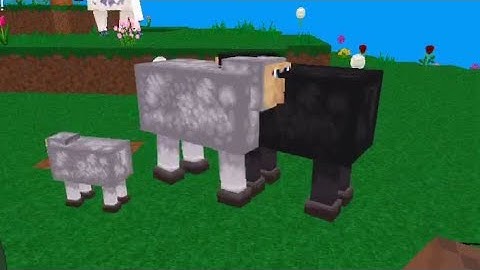 How to breed a sheep in Multicraft