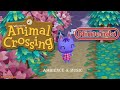 Une Playlist De Musiques Nintendo Principalement Animal Crossing T Aidera à Te Détendre mp3