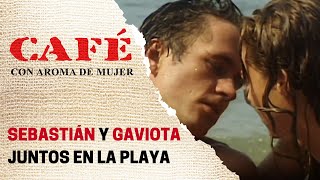 Sebastián y Gaviota bucean juntos | Café, con aroma de mujer