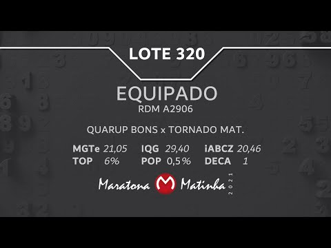 LOTE 320 Maratona Matinha