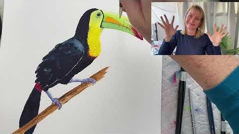 Toucan Watercolor Tutorial (ASL)