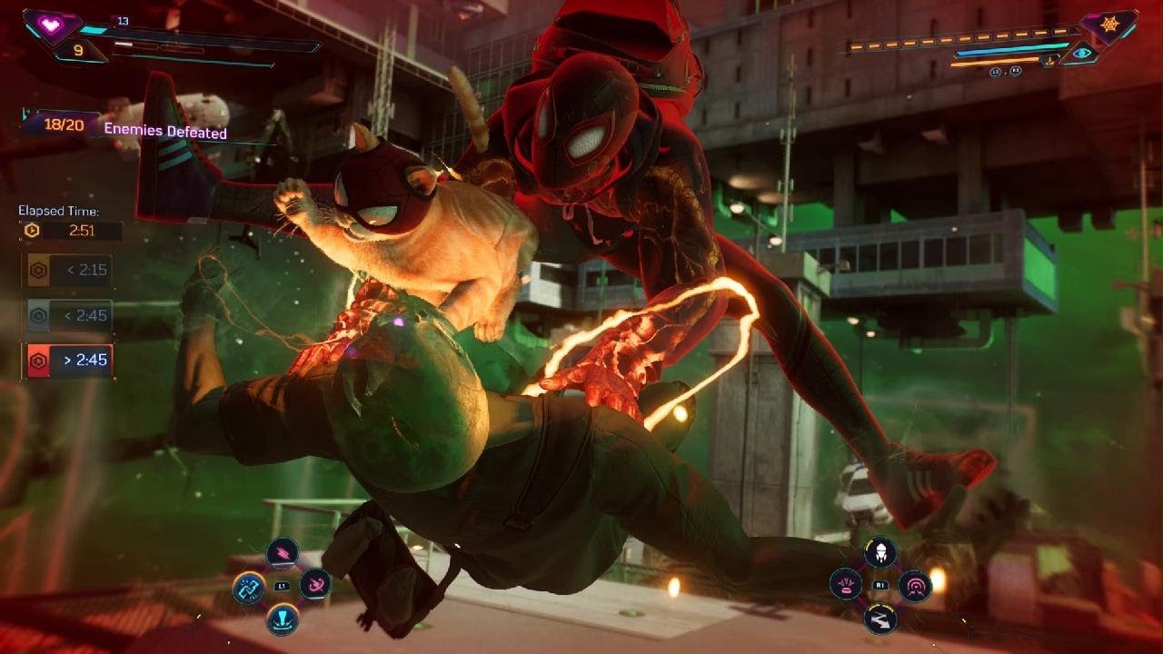 Spider-Cat to the rescue