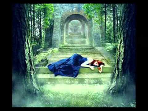 هاله هادي ترضى فيديو 0001 Wmv