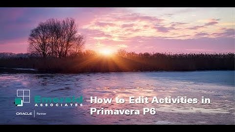 How to Edit Activities in Primavera P6
