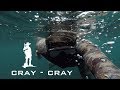 free diving for CRAYFISH and abalone