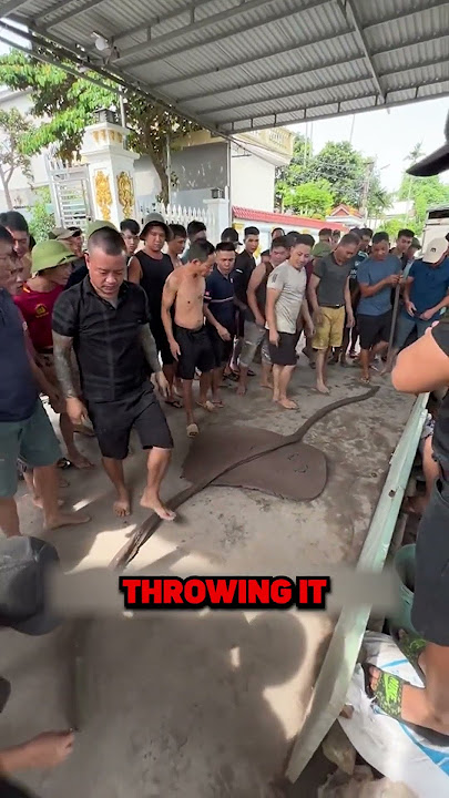 The Most Popular GAME In Vietnam !🤯