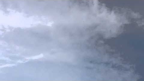 T Rex 600 Autorotation