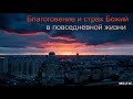 "Благоговение и страх Божий в повседневной жизни". Я. Я. Янц. МСЦ ЕХБ