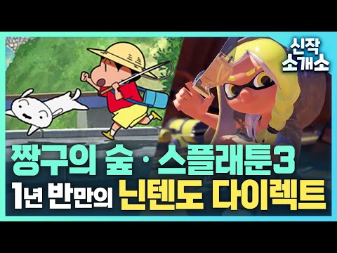 닌텐도 <strong>다이렉트</strong> 같이 <strong>보기</strong>