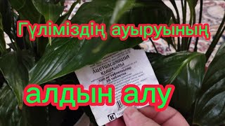 :   .  .# # #