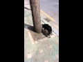 혼자산책