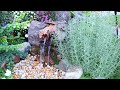 Small garden makeover with a water feature | Ideas para jardines pequeños con una cascada |Deuryissa