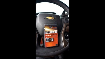 Fleece All Lights On