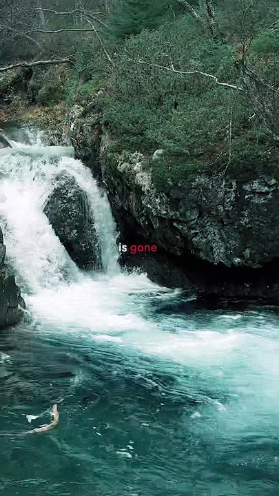 #MIIA #Dynasty #heartbreak #lyrics #nature #waterfall 🖤